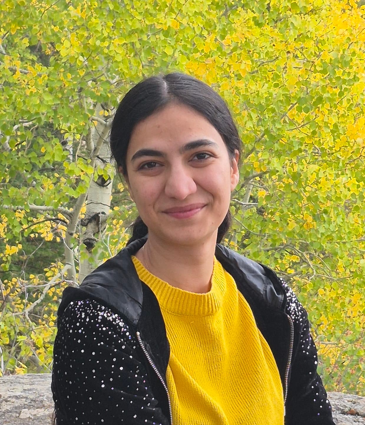 Roya Daneshi